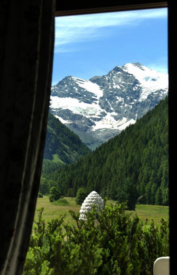 La Terrazza Apartment Cogne Luaran gambar